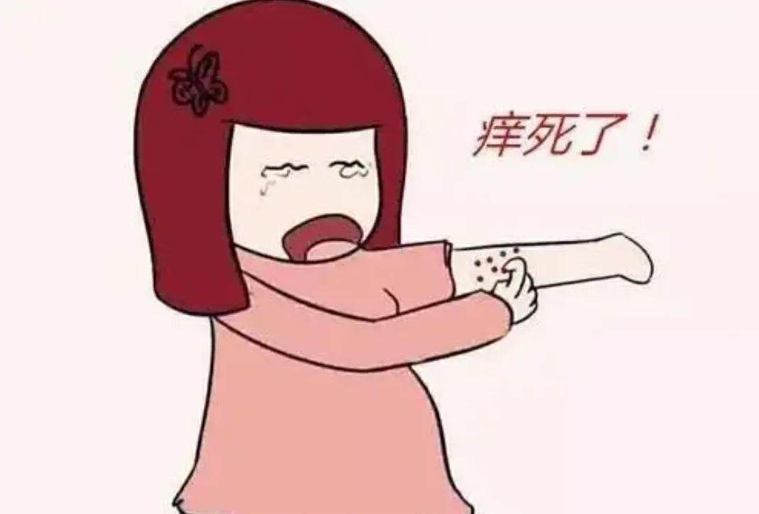 两味中药,祛风邪,除湿毒,专管皮肤瘙痒