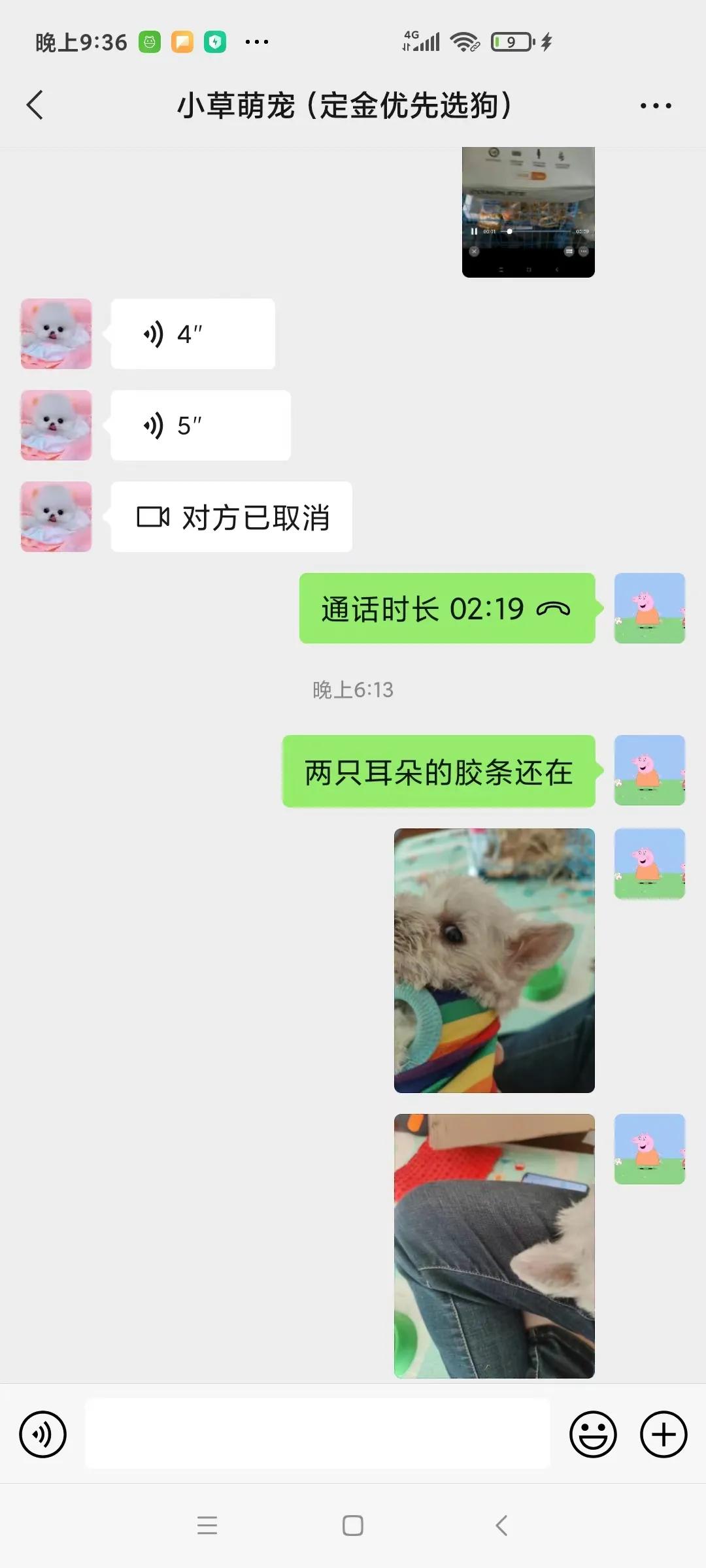 在网上购买宠物被欺骗了怎么办,怎么防止买宠物被骗系列