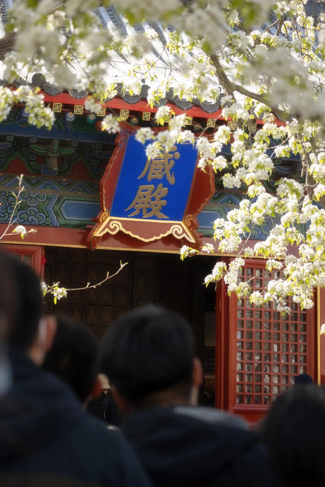 雍和宫北京最旺的古寺,不要再去人挤人的景点