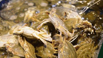 日照夜生活哪里玩,日照晚上去哪里玩