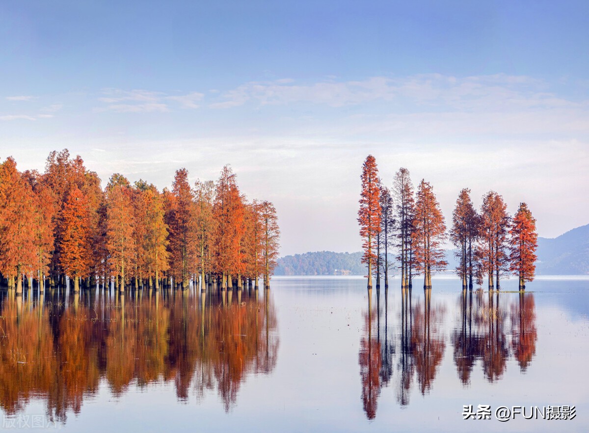 学摄影必看的9大技巧汇总,必须掌握的12条摄影法则