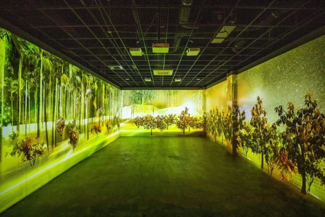 台湾“小而美”商业再出彩，7个最新案例，3大“秘笈”玩法