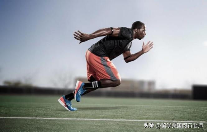 美国体育专业排行榜前十,美国最牛体育学校