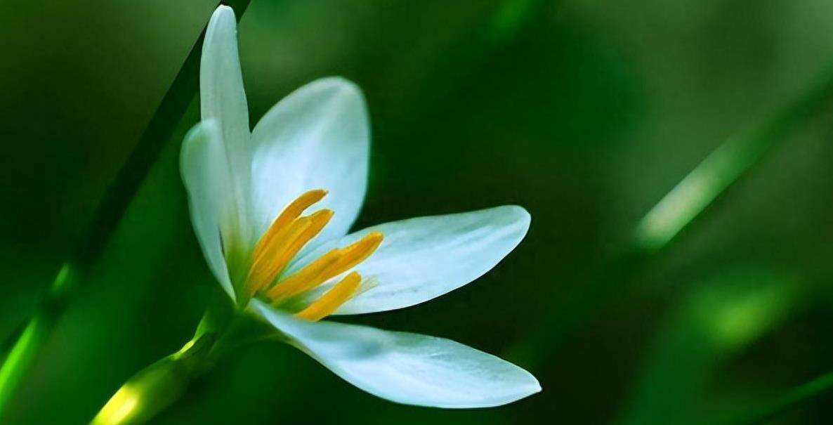 当亲人在自己眼前离世,当亲人离世时