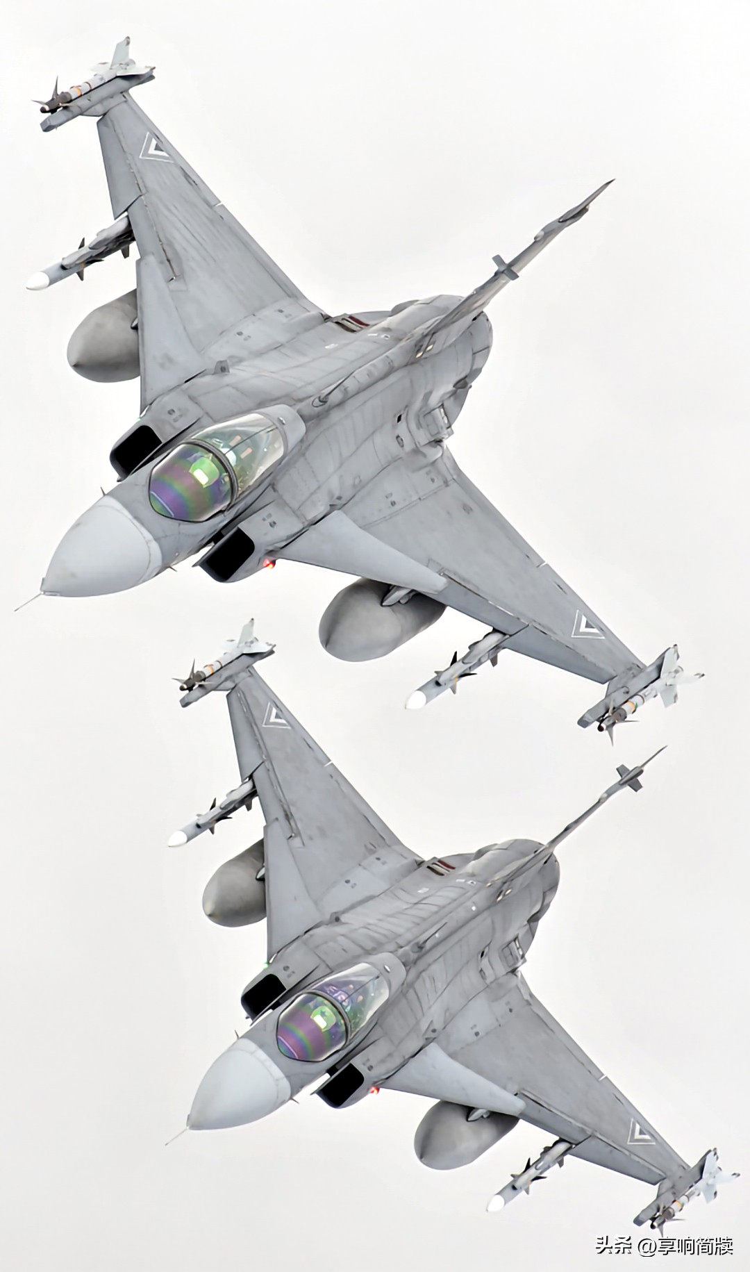 jas-39鹰狮战斗机,jas39鹰狮战斗机外贸版