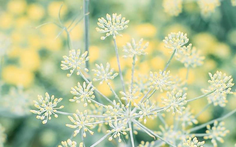 越是面对逆境和挑战,越是要不服输,掌控好自己的心态