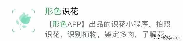 非常实用的学习小程序,超好用的几个私藏小程序