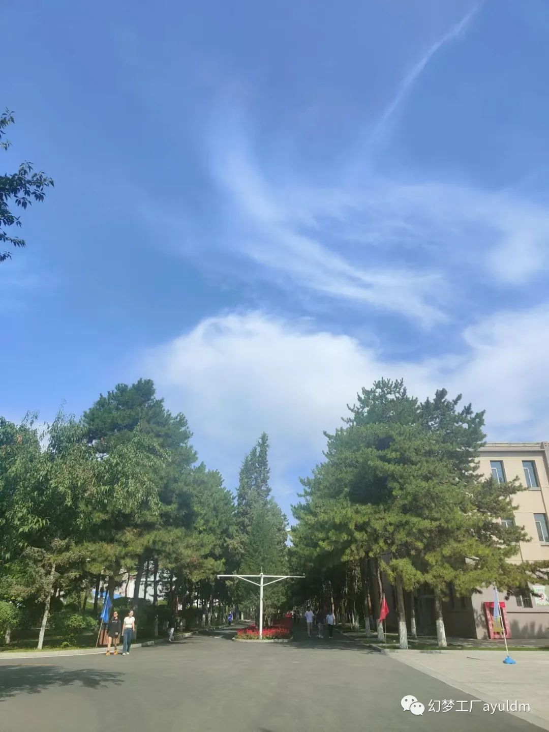 你好母校作文800字,你好母校作文