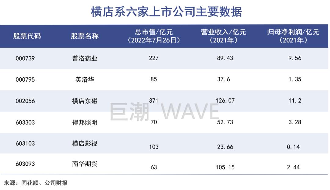 横店集团控股有限公司,横店集团是国企还是私企