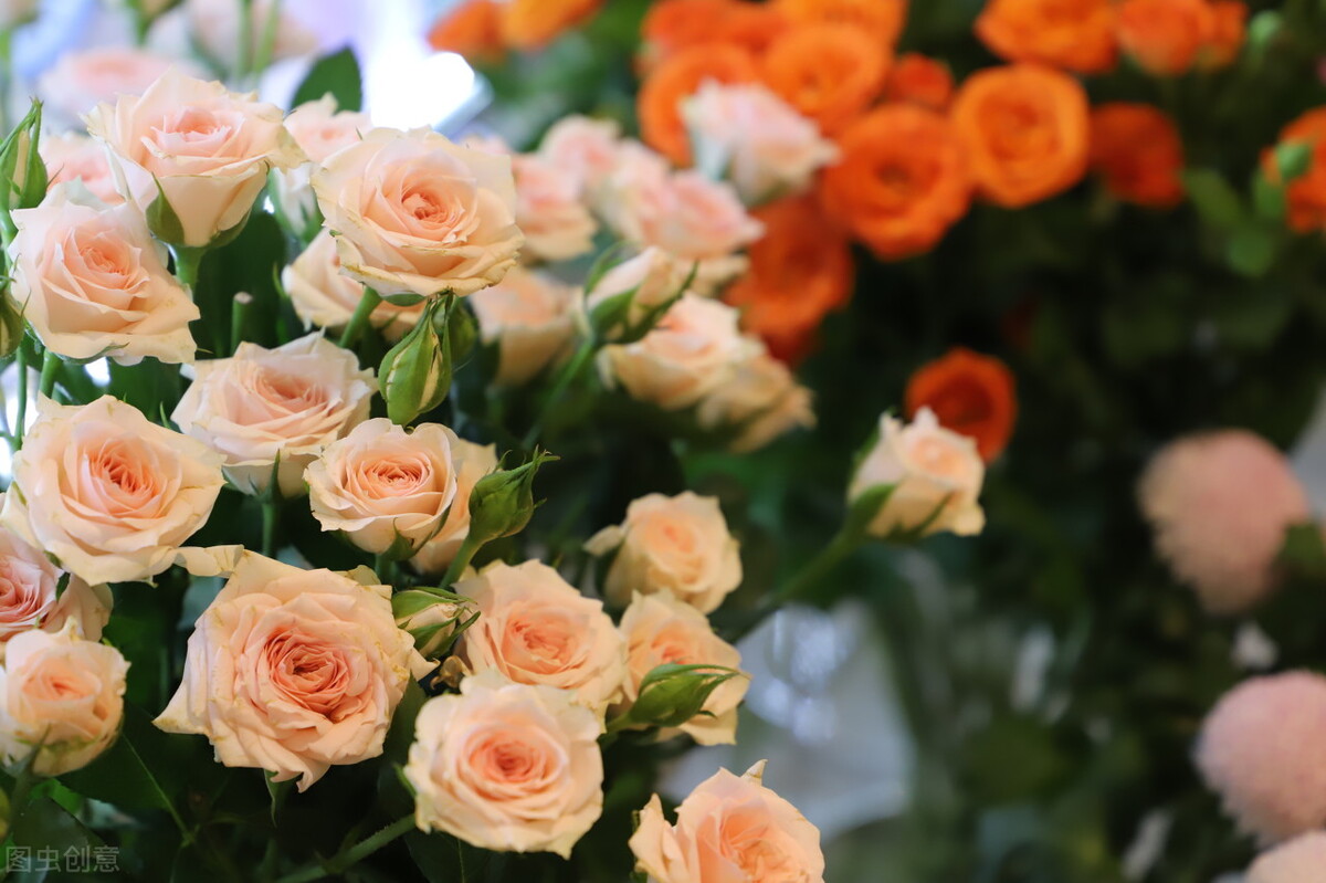 为什么女孩容易喜欢健身教练？