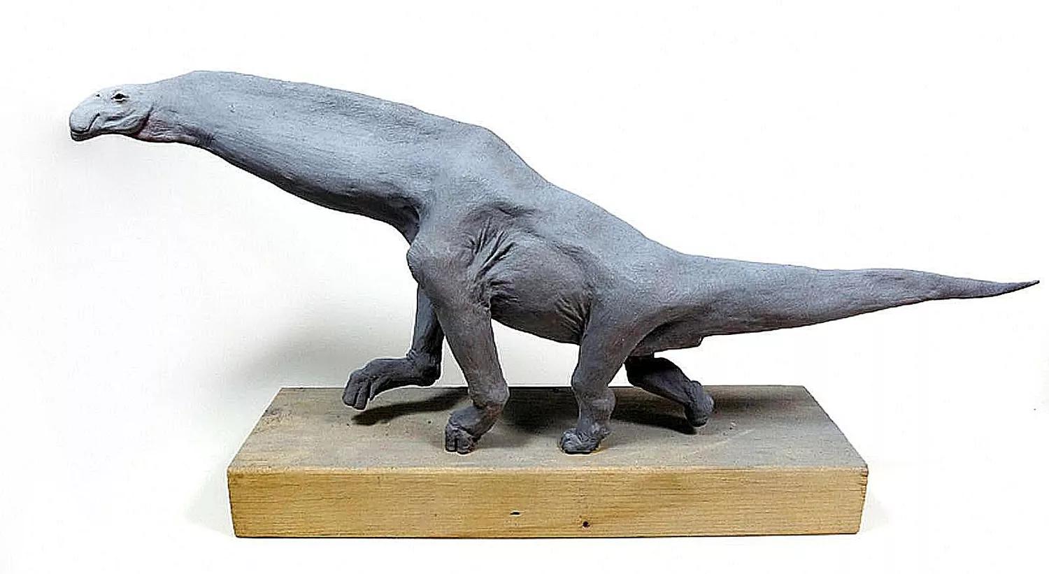 泰坦巨龙图片从哪来的,泰坦巨龙恐龙图片和简介