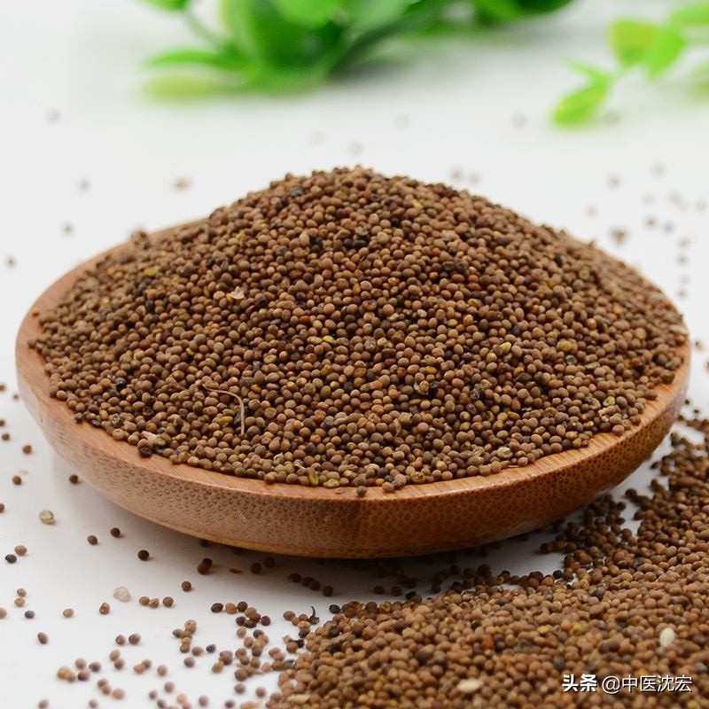 一味中药祛顽疾第二版,一味中药排出肝毒