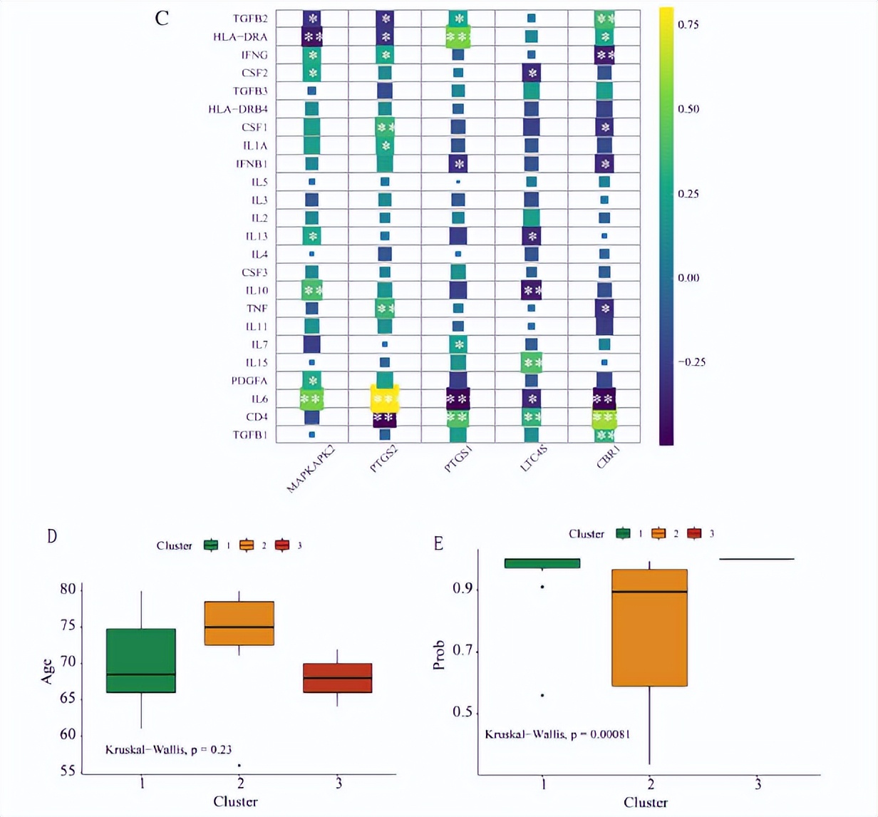 花生四烯酸代谢途径,花生四烯酸代谢途径及药物作用图