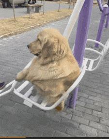 神回复P图,神回复自己的颜值