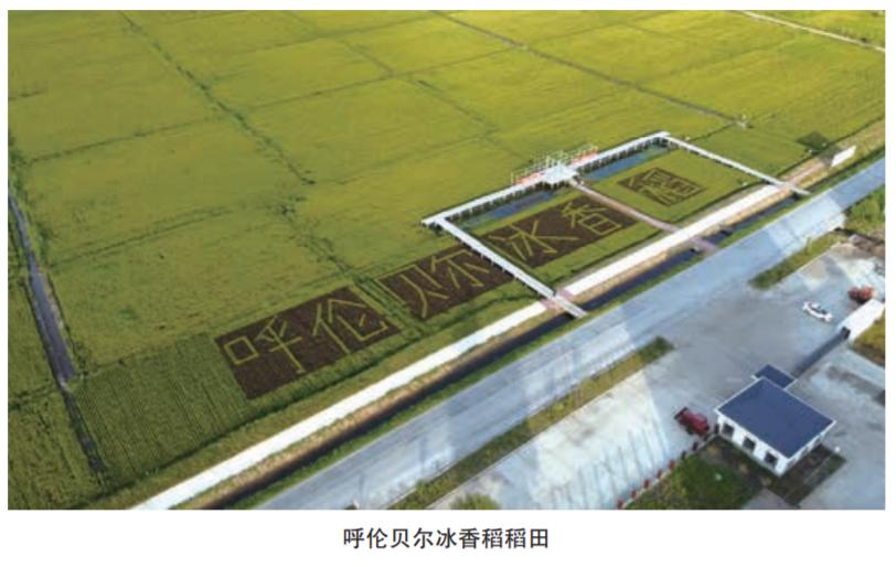 转变农村农民种植模式,转变农业发展方式的五大原则