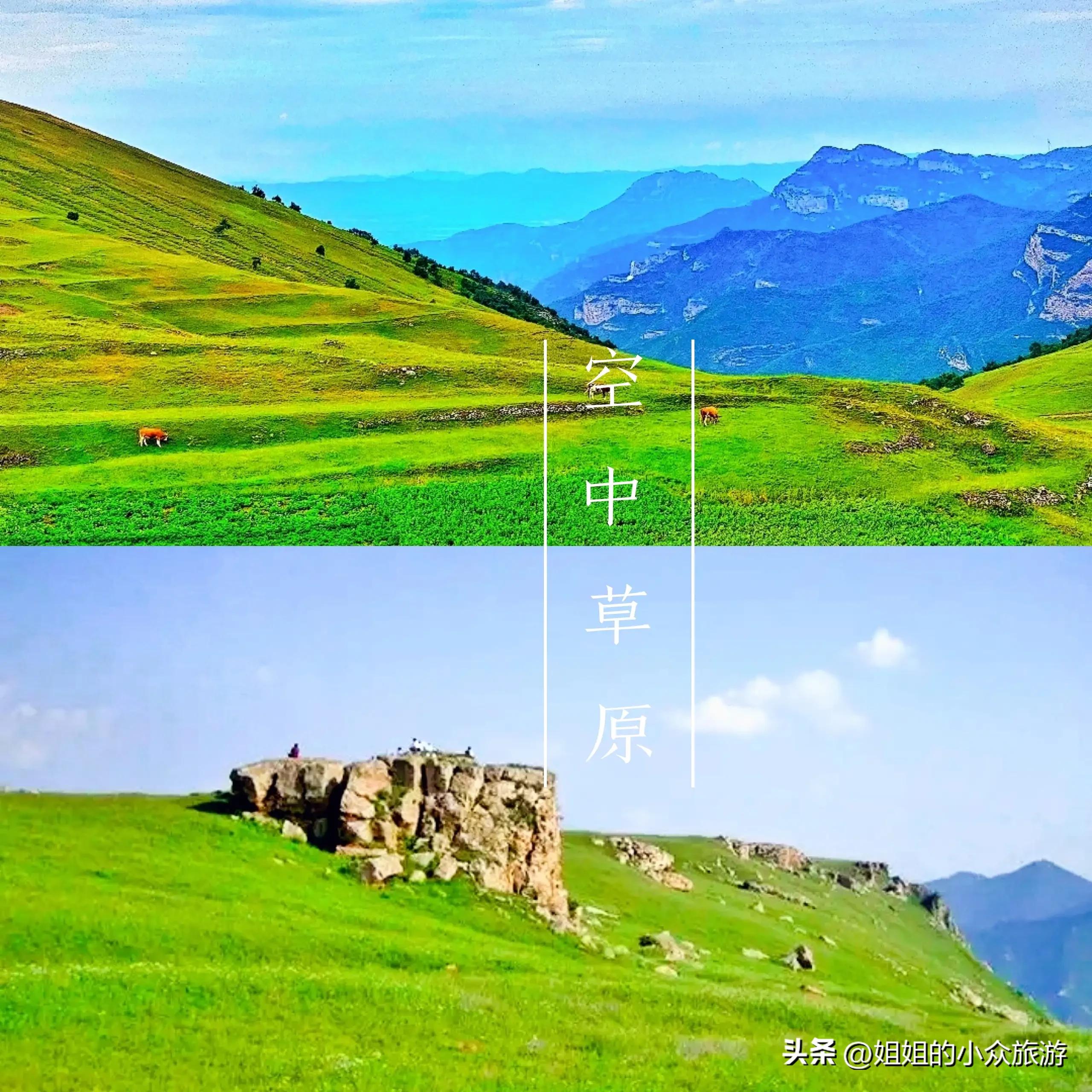 藏在深山无人知的图片,藏在深山无人知视频