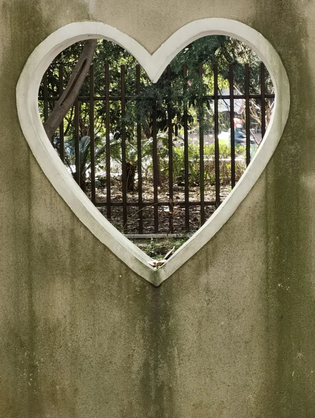 错过了一个秋天,错过了一个春秋