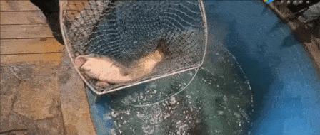 浙江免费打hpv疫苗,浙江金华hpv疫苗怎么预约