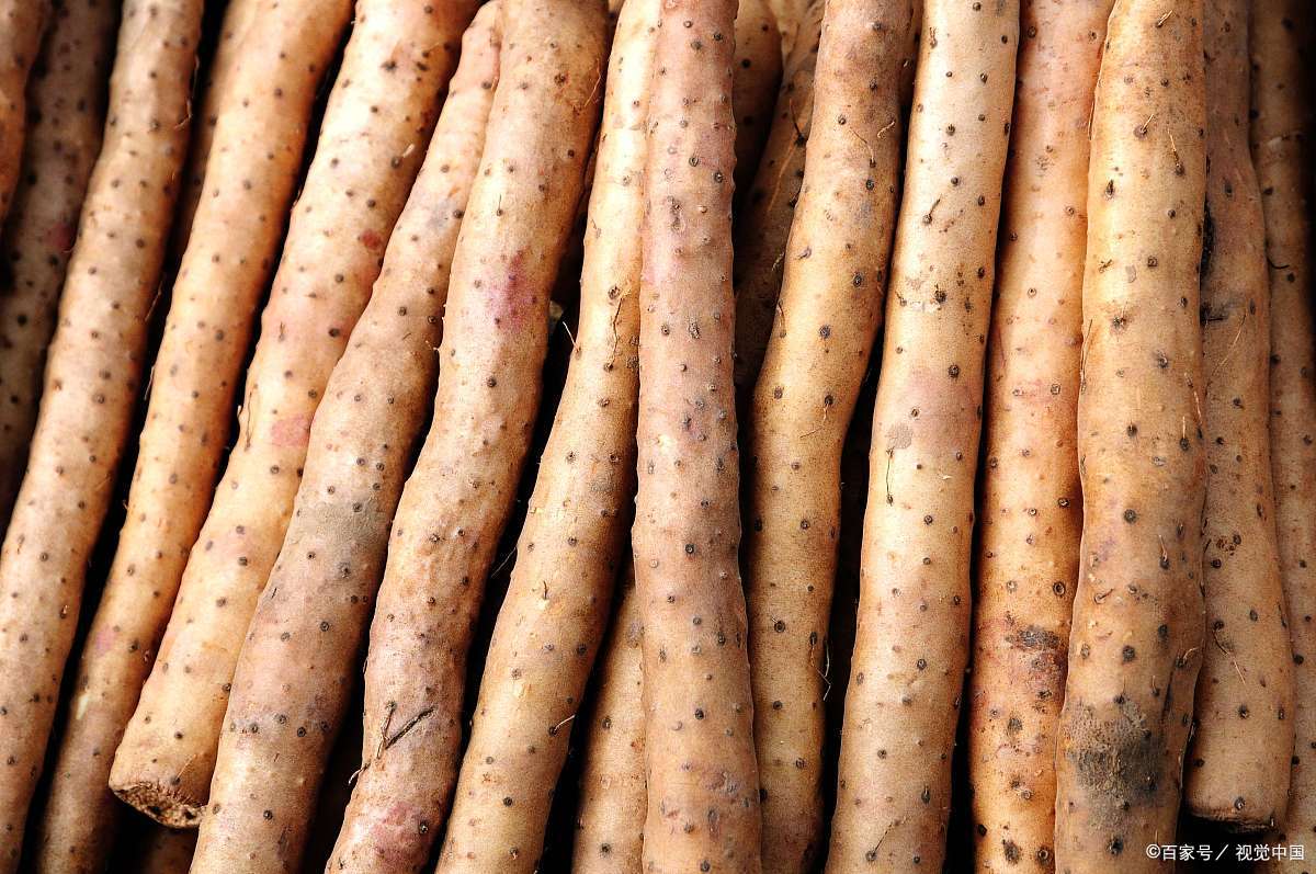 海南省海口市十大特产,海口特产最好品牌有哪些