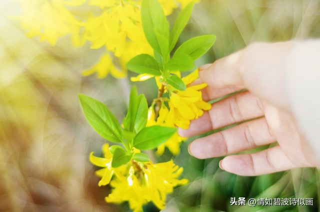 散文相约在最美的春天,想和春天约会散文摘抄