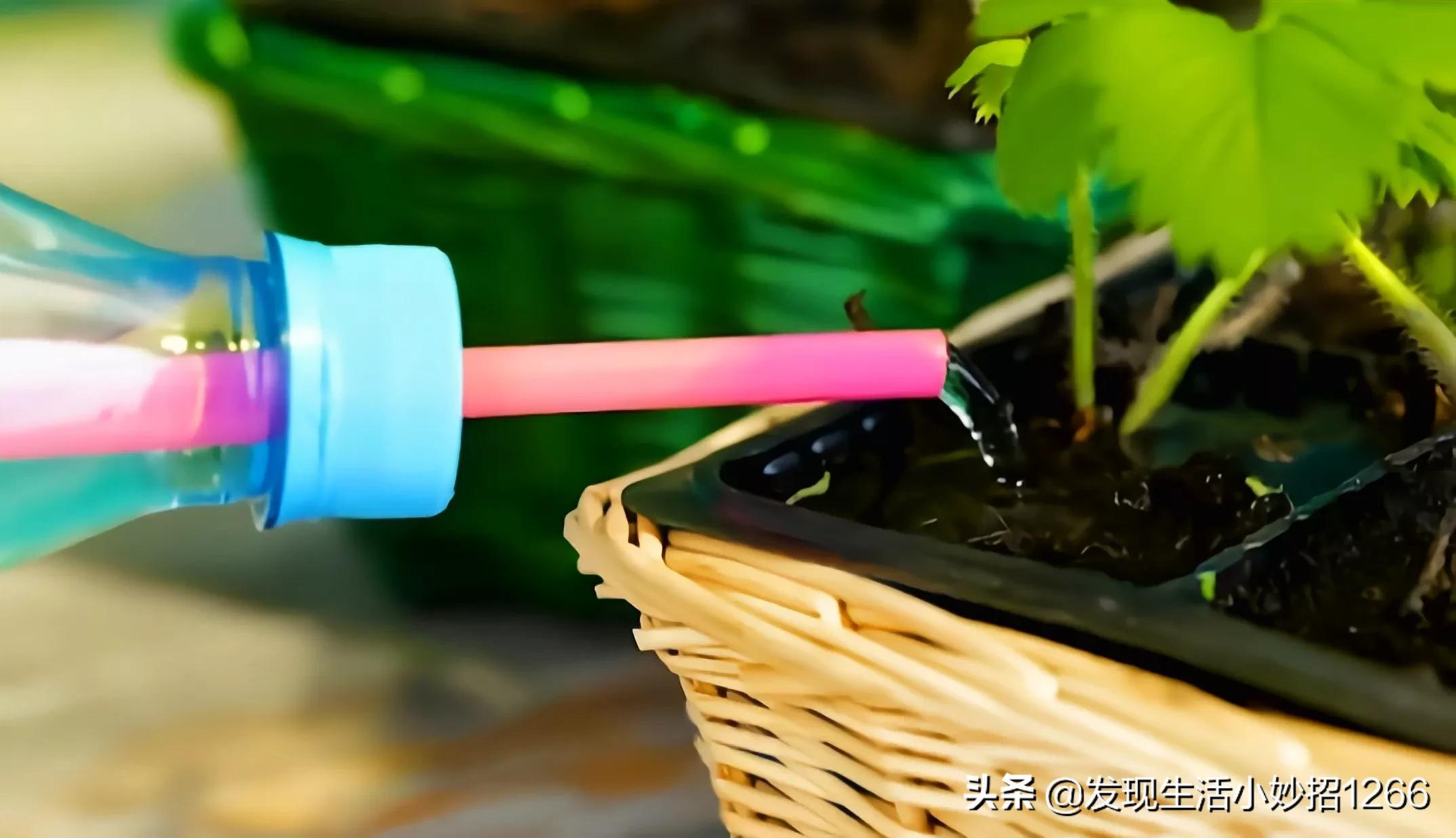 分享20个生活小妙招，手机不小心进水，这个方法比吹风机还好用