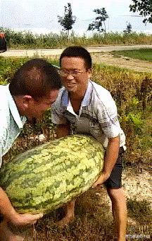 女生上学和出去玩的区别,女生在上课穿校服