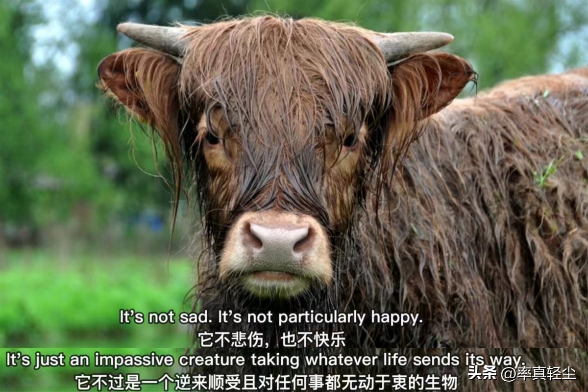 怎样快速解除关机状态,关机时怎样跳过强制关机