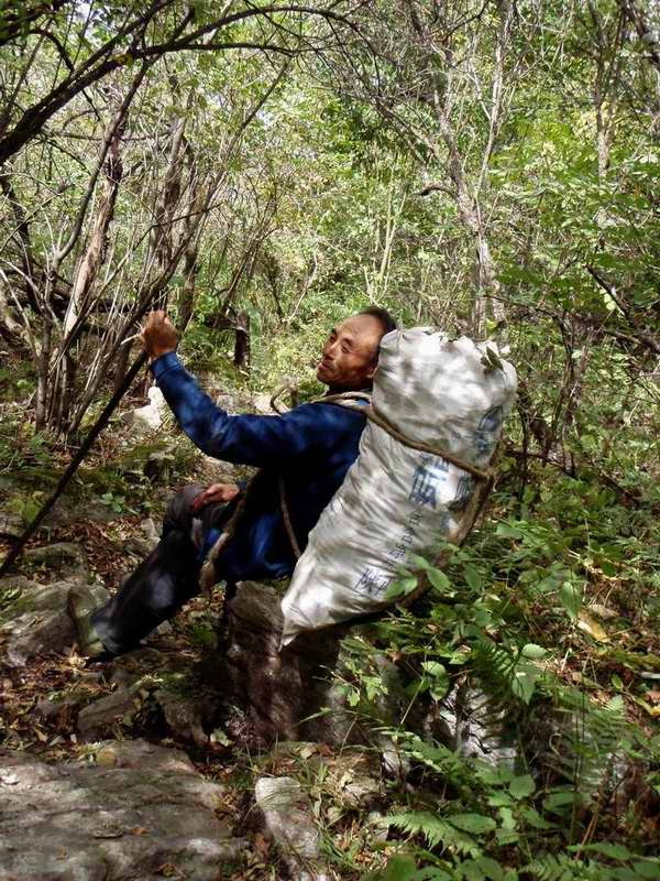 鳌太穿越UL之旅