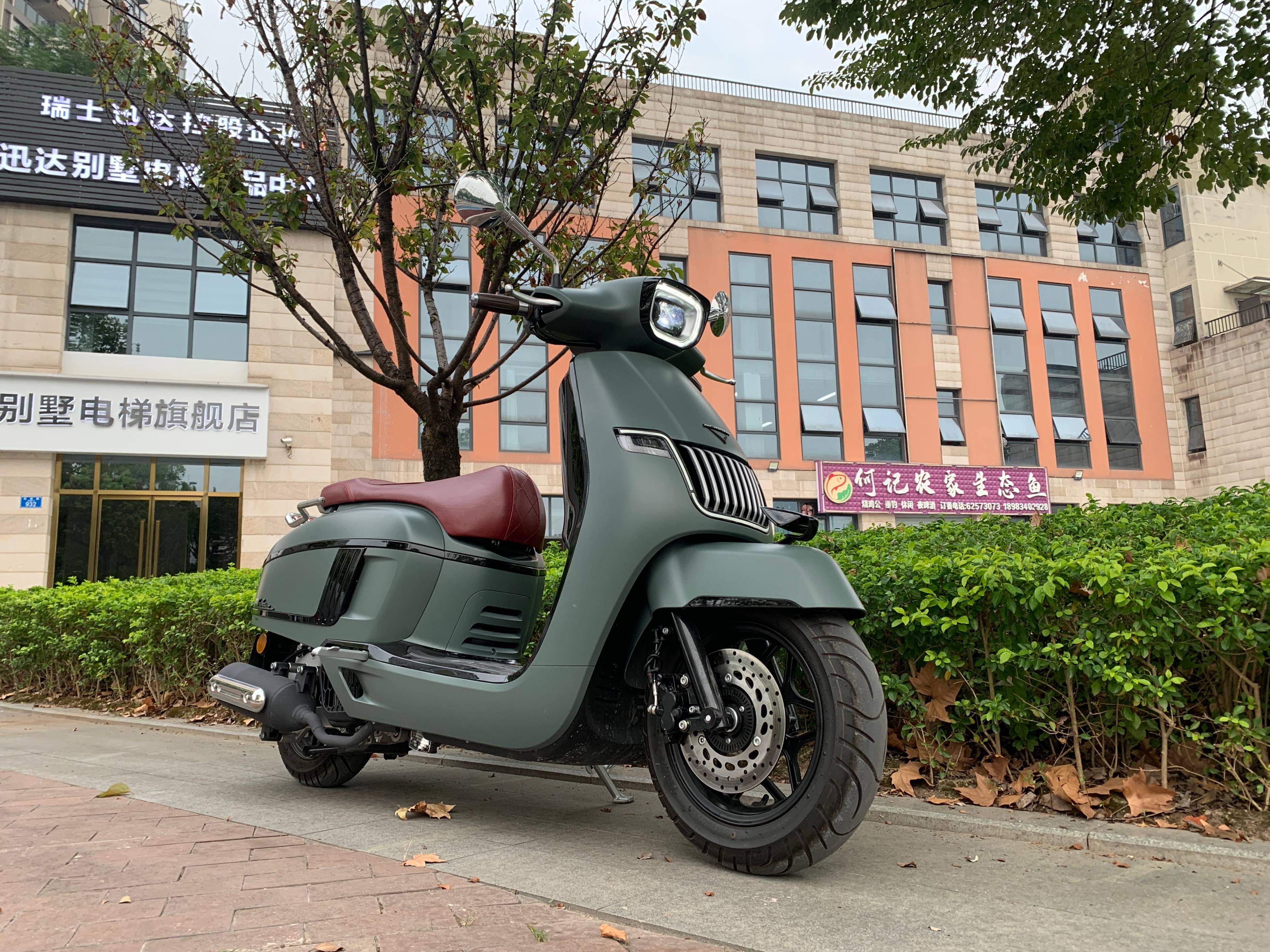 踏板核心是什么,南方蒙娜丽莎踏板测评