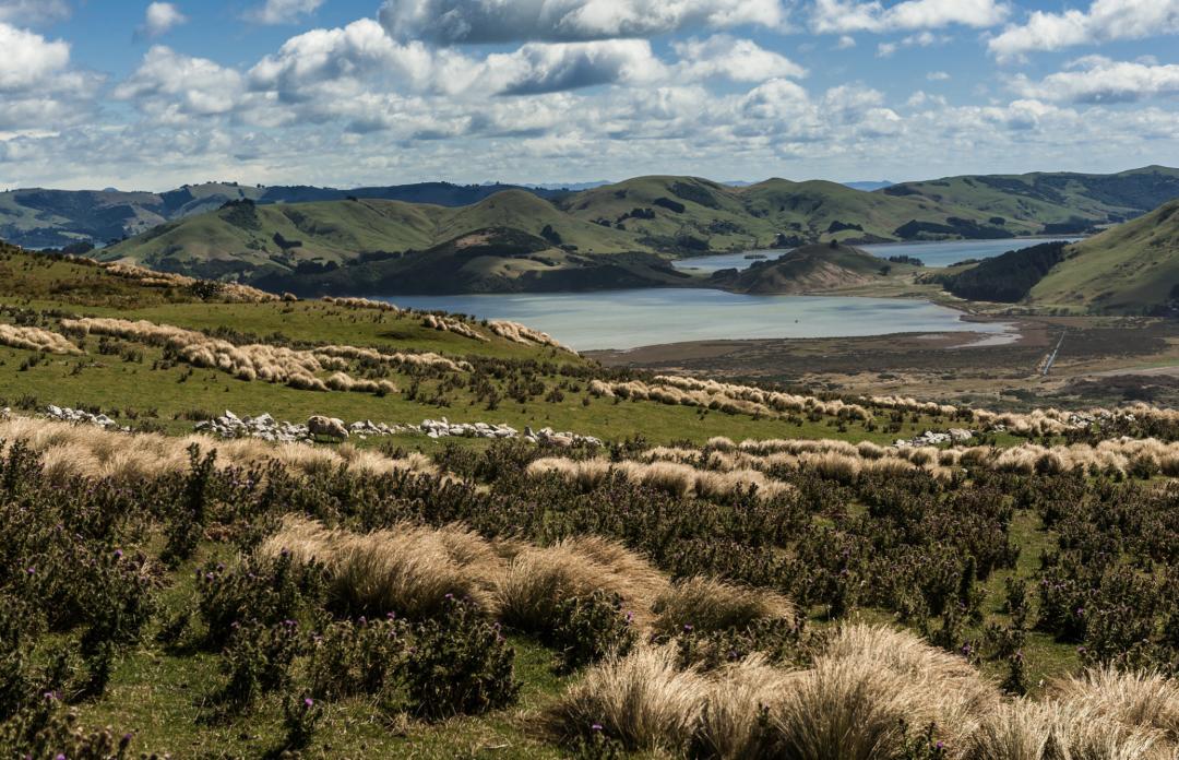 边旅行边挣钱叫什么,如何边旅行边赚钱的实战方法