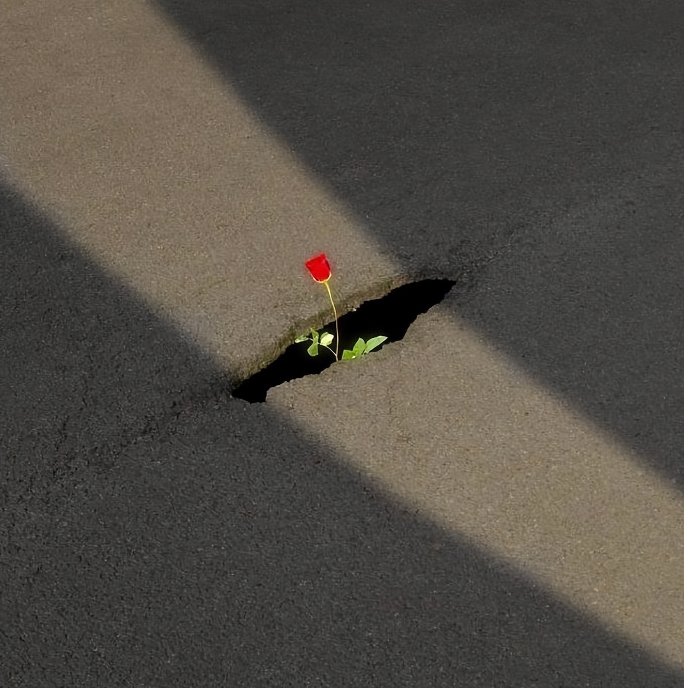 最新文案短句干净治愈心情加配图,朋友圈文案短句干净配图