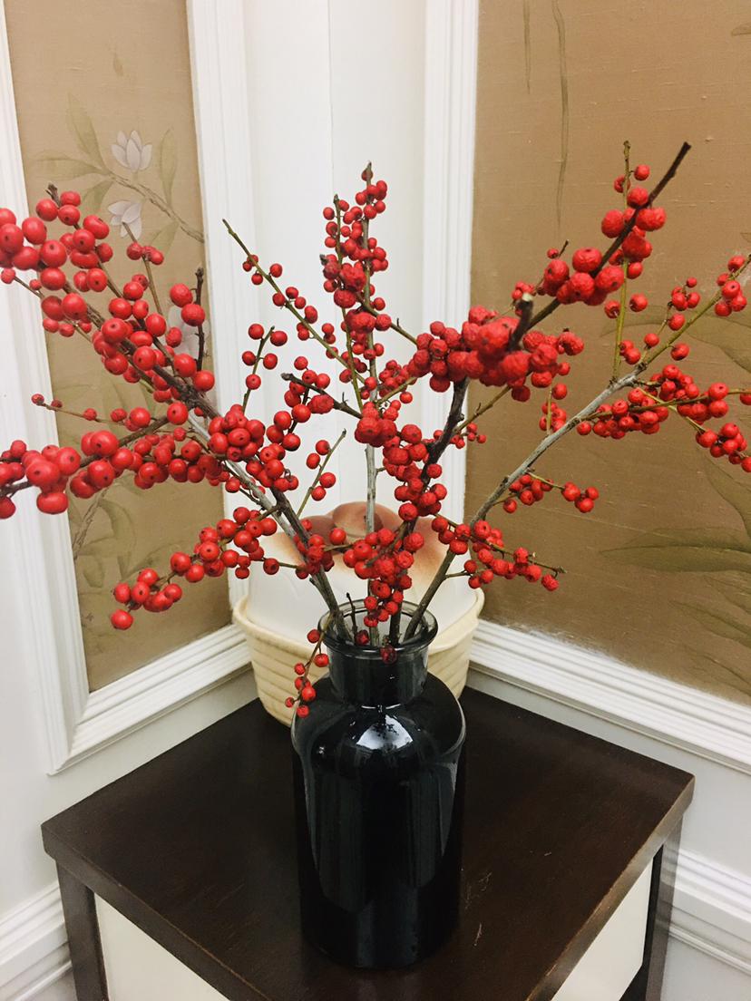 好养的贵族花,4种花便宜好养又漂亮