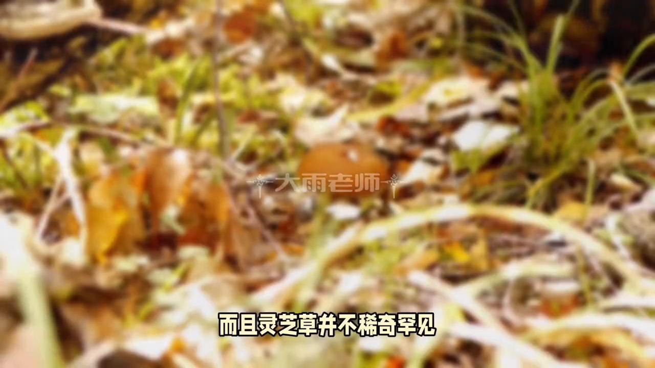 亲子教育直播,亲子教育机构加盟