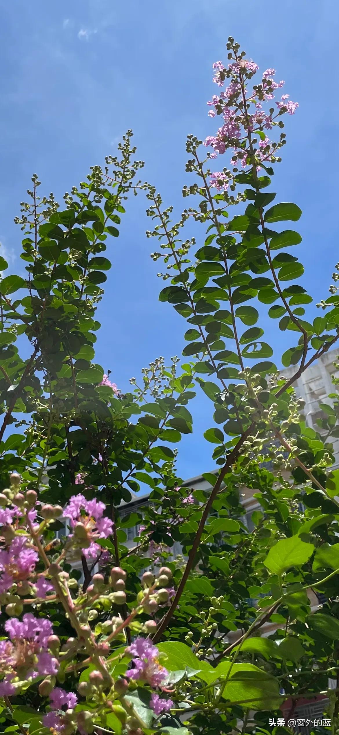 劳动课题开题报告专家评议要点,课题开题论证表专家评议要点