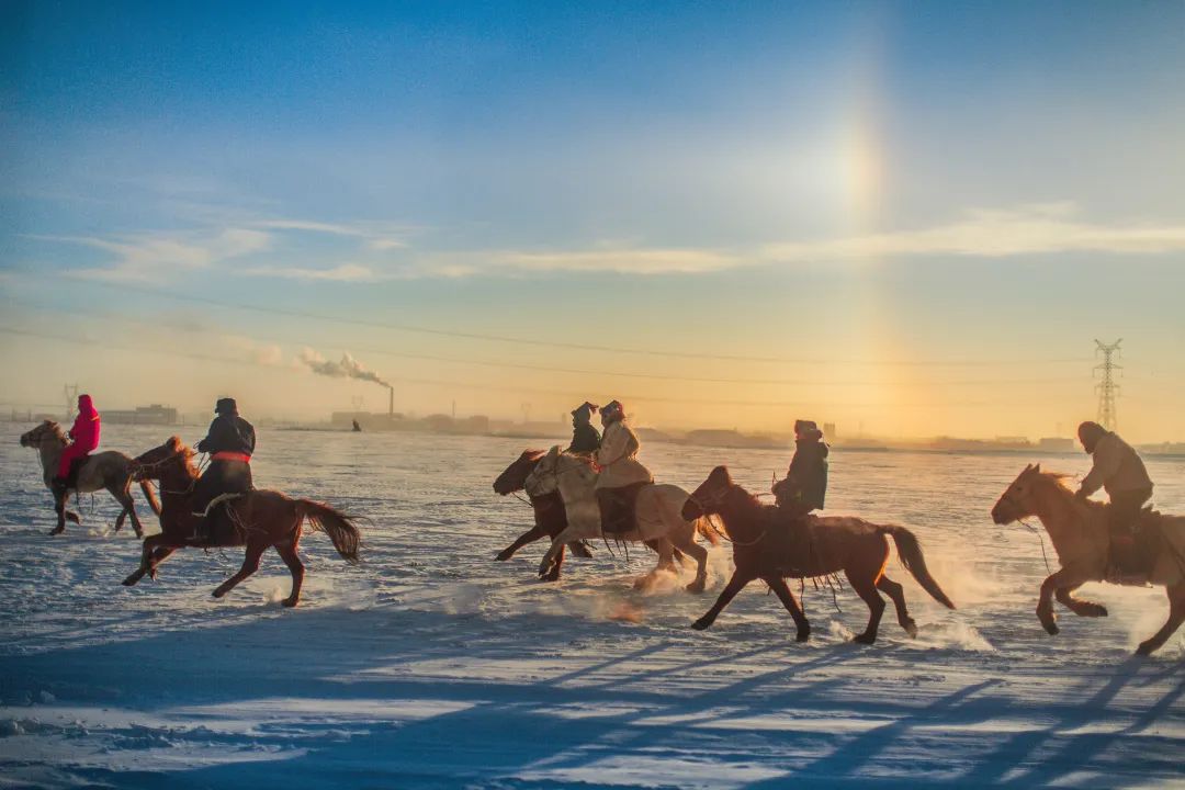 中国呼伦贝尔最大的草原 (呼伦贝尔大草原是世界第一吗)