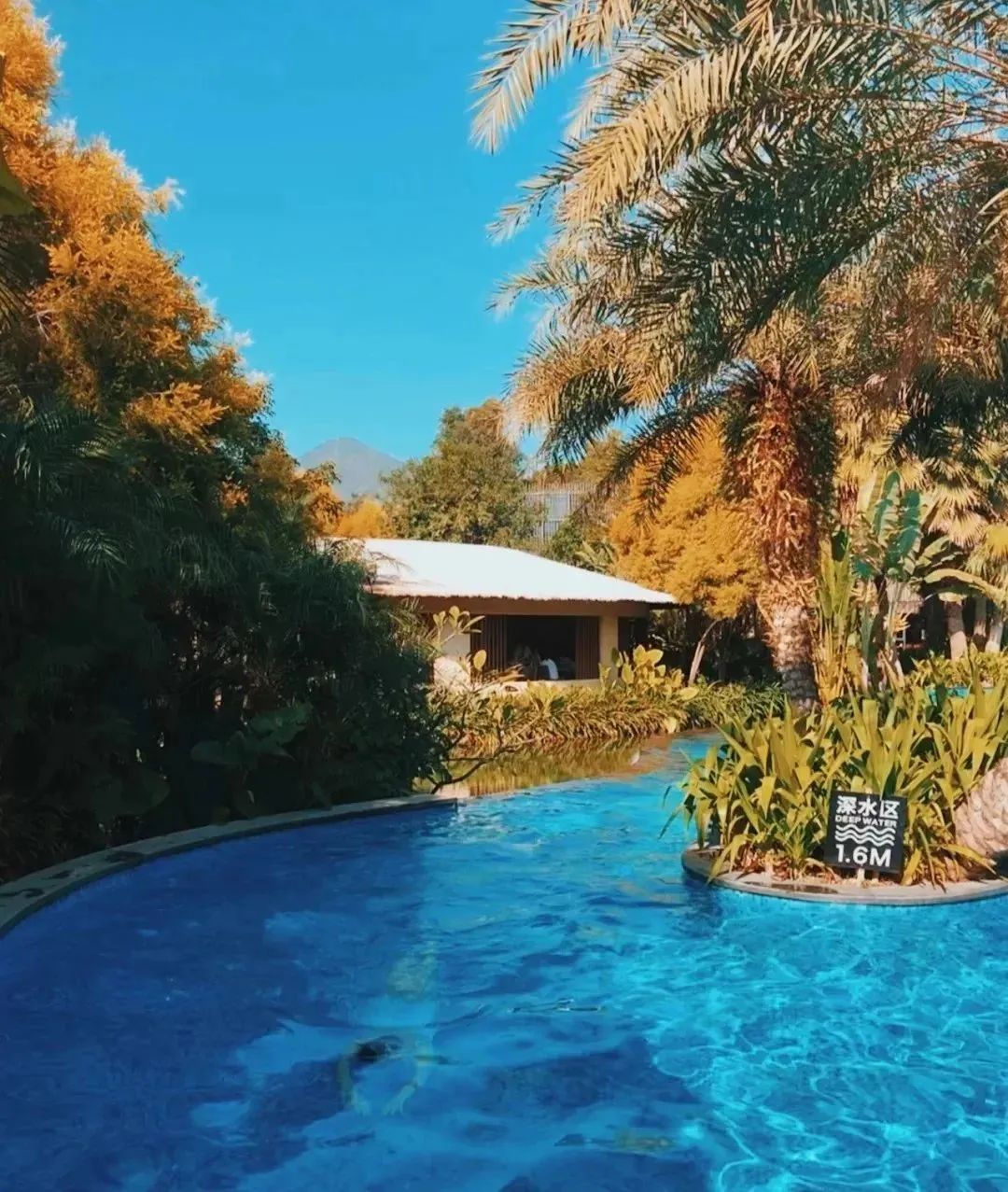 漳州泡温泉旅游攻略路线,春节漳州一日游最佳去处