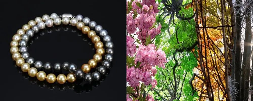 珍珠guild证书怎么看,大溪地黑珍珠鉴定证书