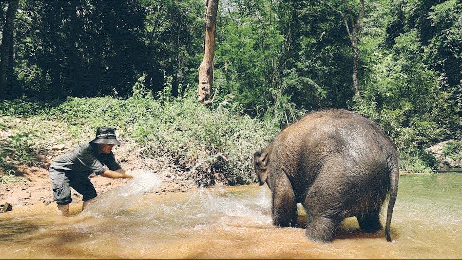 cop15大会高清图,cop15第二阶段会议有哪些人出席