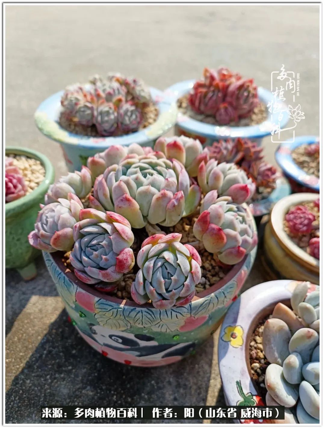 浜洪棿鐑熺伀鑷湁涓囧崈棰滆壊,浜洪棿鐑熺伀鐨嗘槸骞冲嚒棰滆壊