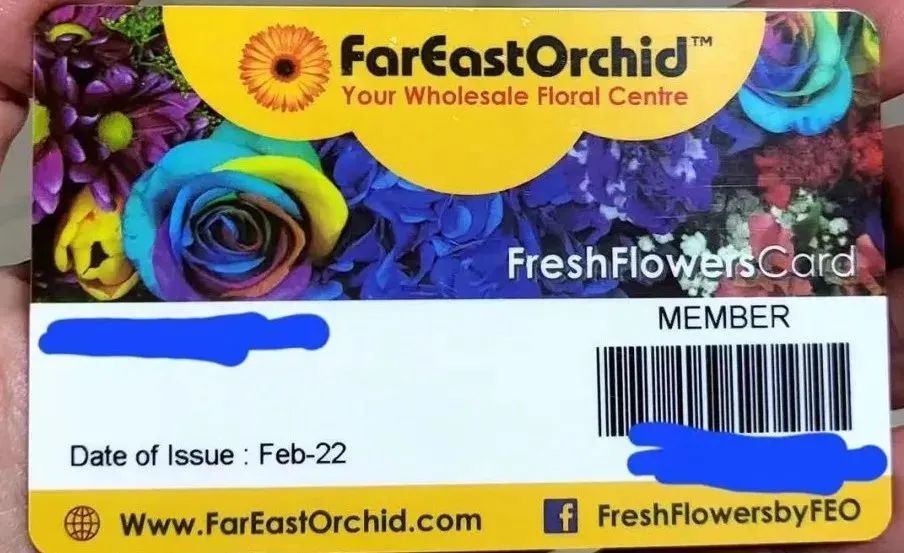 鲜花在水里能养几天会死,新加坡盆栽花卉怎么养