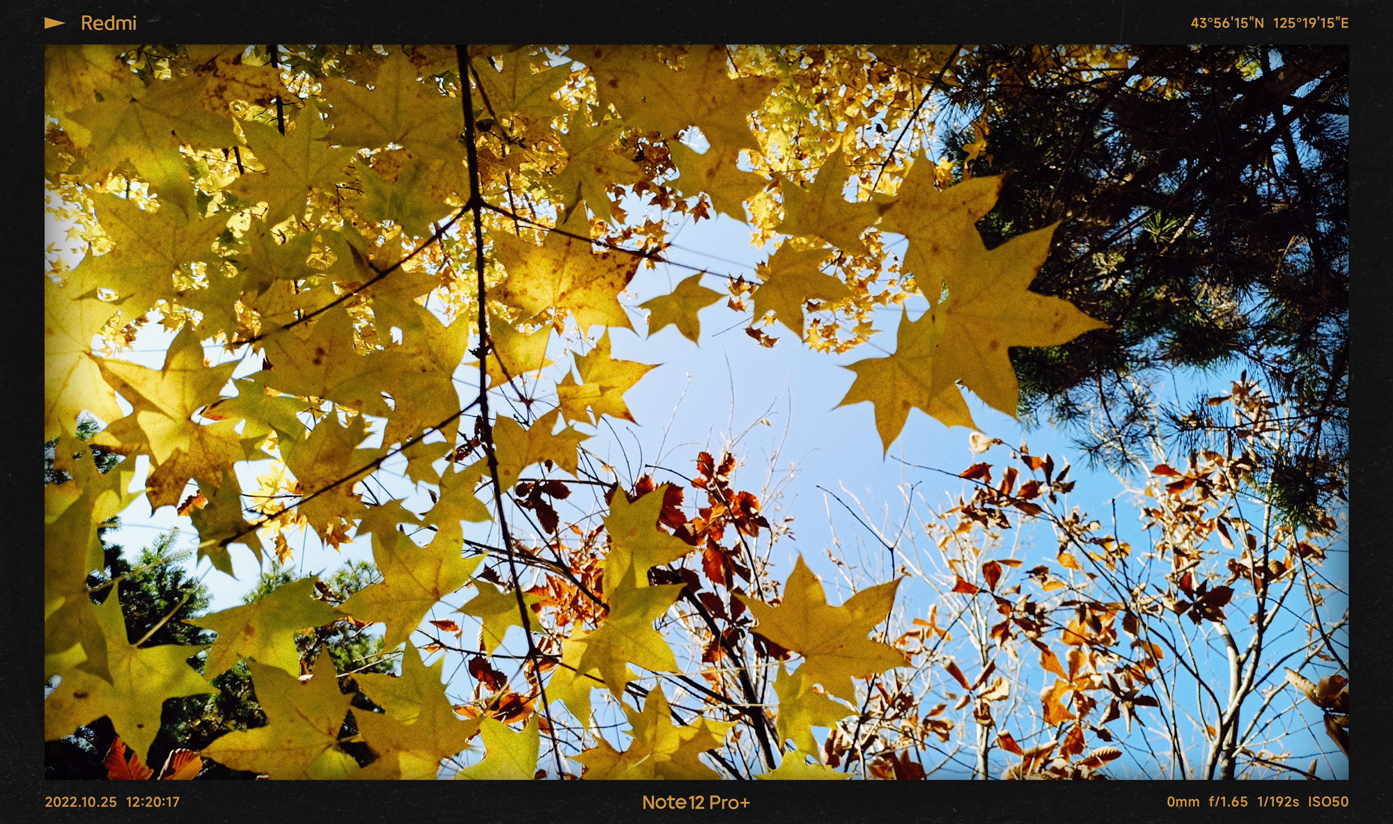 红米redminote12Tpro值得买吗,红米RedmiNote12Pro评测