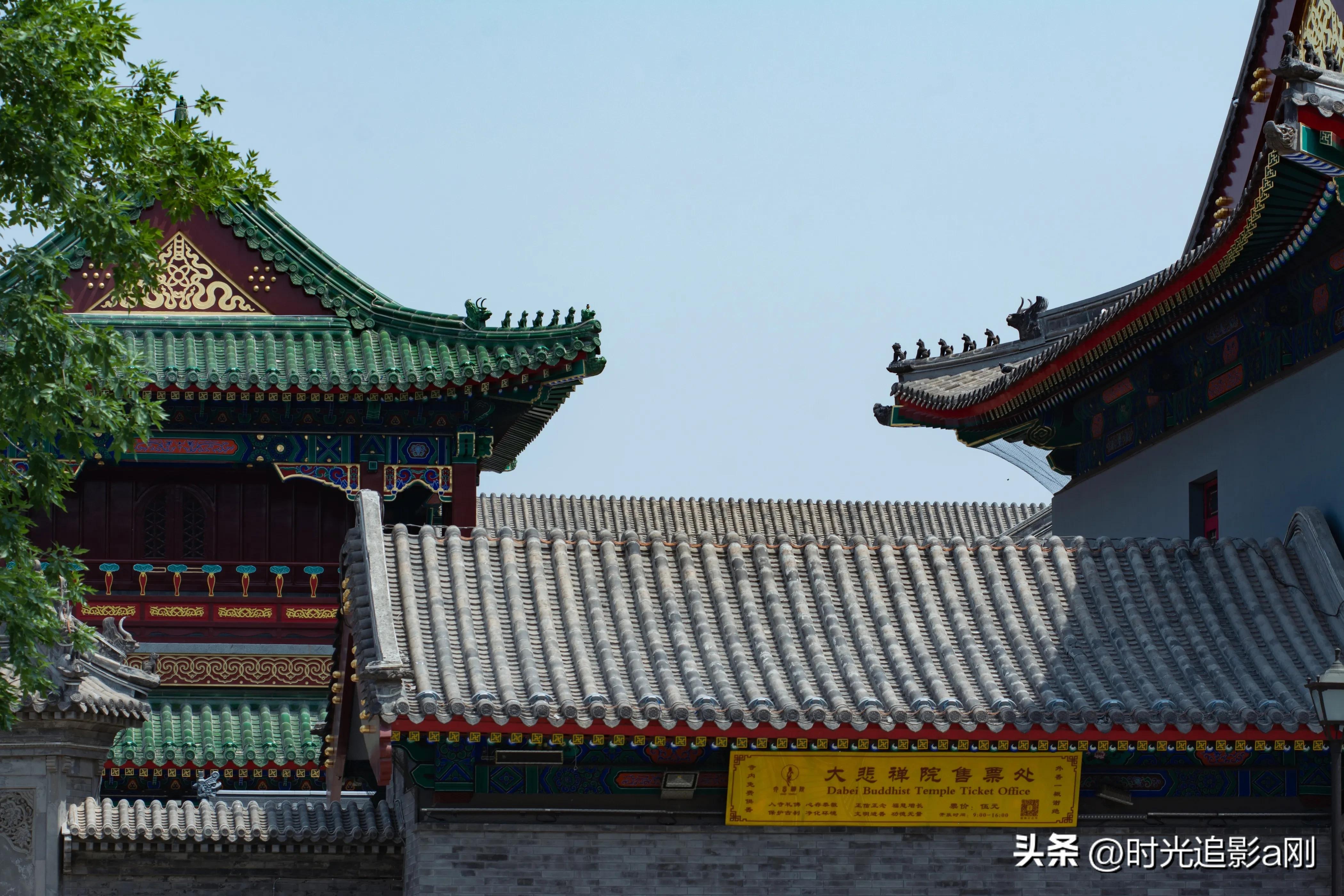 天津大悲禅院观音像,天津大悲禅院视频