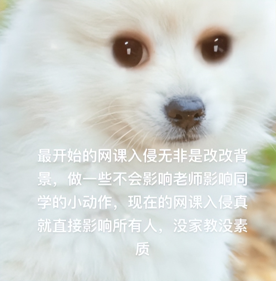 学生网课骂老师的真实状况,网课老师直播被人辱骂