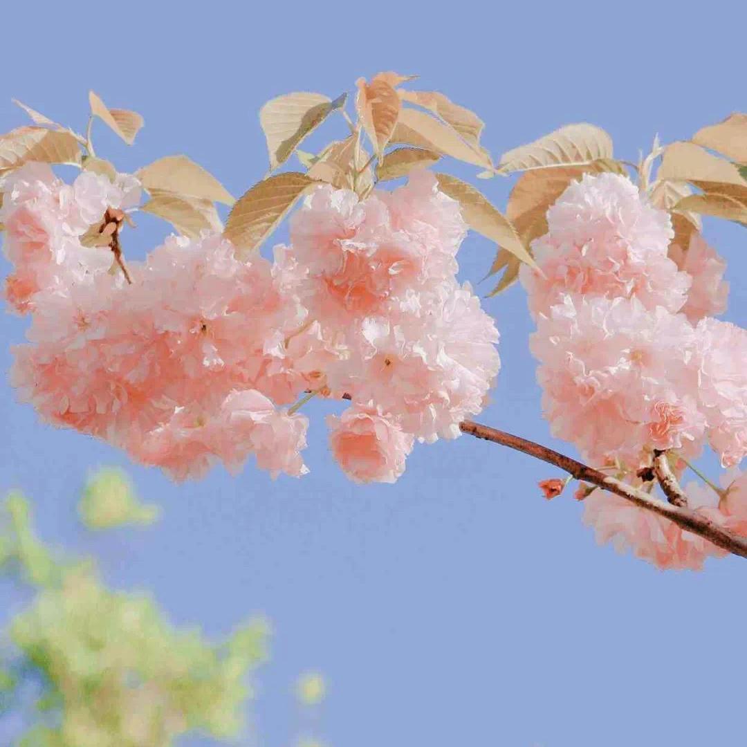 土星换座这三年对星座的影响大吗,土星换座是什么星座