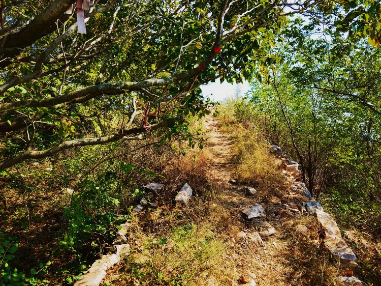 旅顺城山,旅顺城山怎么绕过去