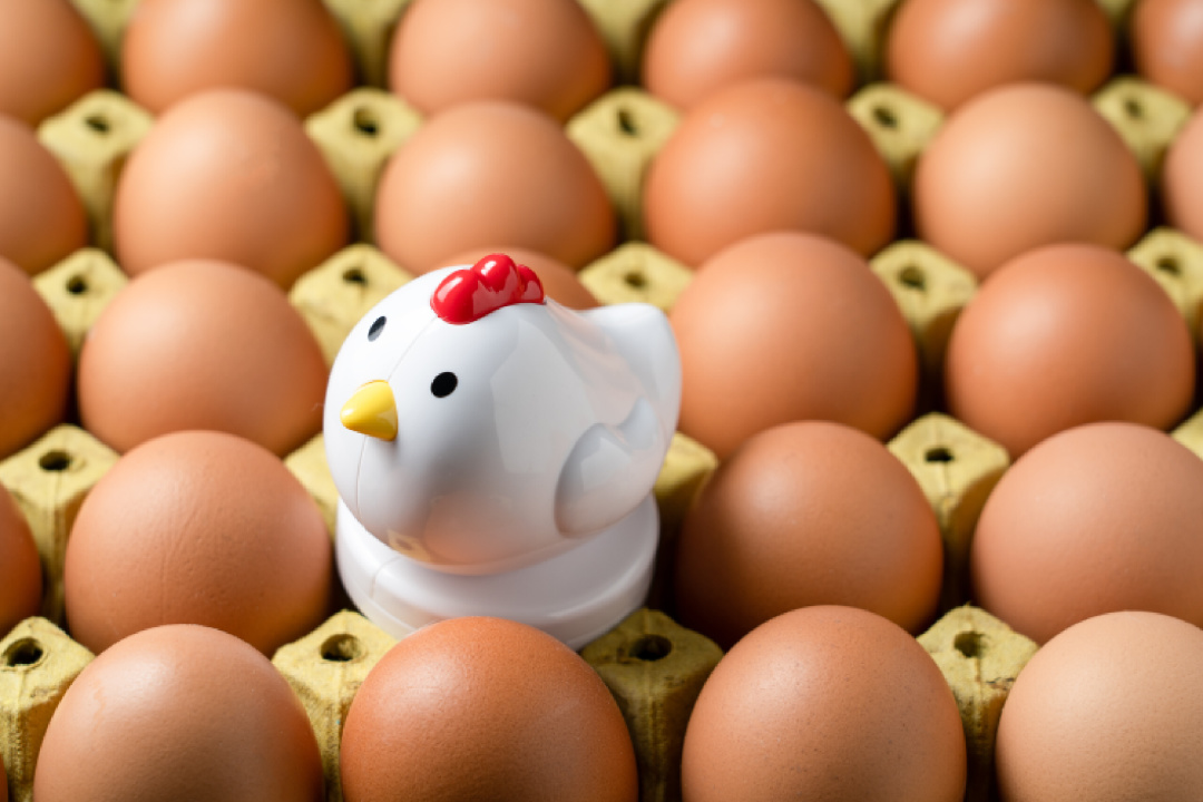 头发怎么养还能养成秀发,头发养护的八大秘诀记得收藏