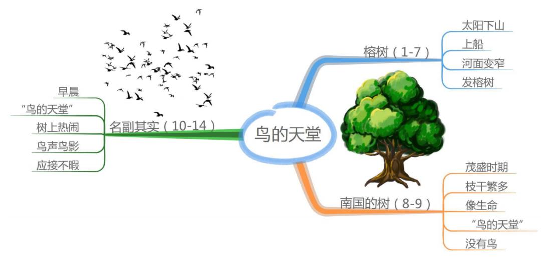 五上语文第一单元思维导图怎么画,思维导图语文五上第三单元