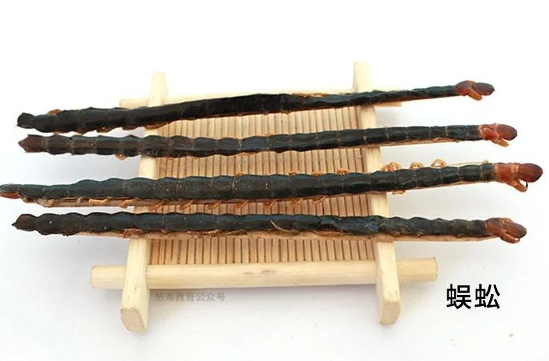 每天学习一味中药蜈蚣,蜈蚣打通血管中药配方
