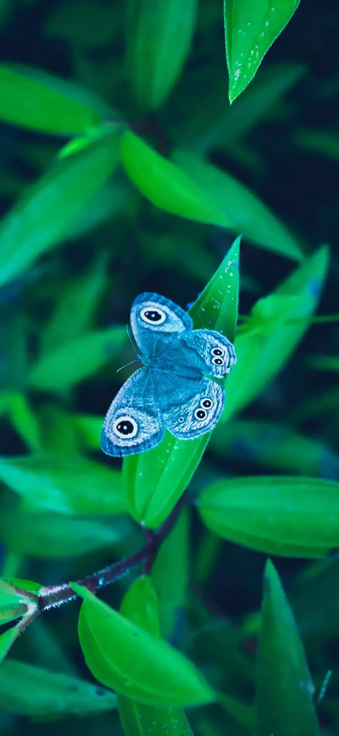 歼20高清壁纸4k全屏无水印,精选壁纸高清无水印高级感