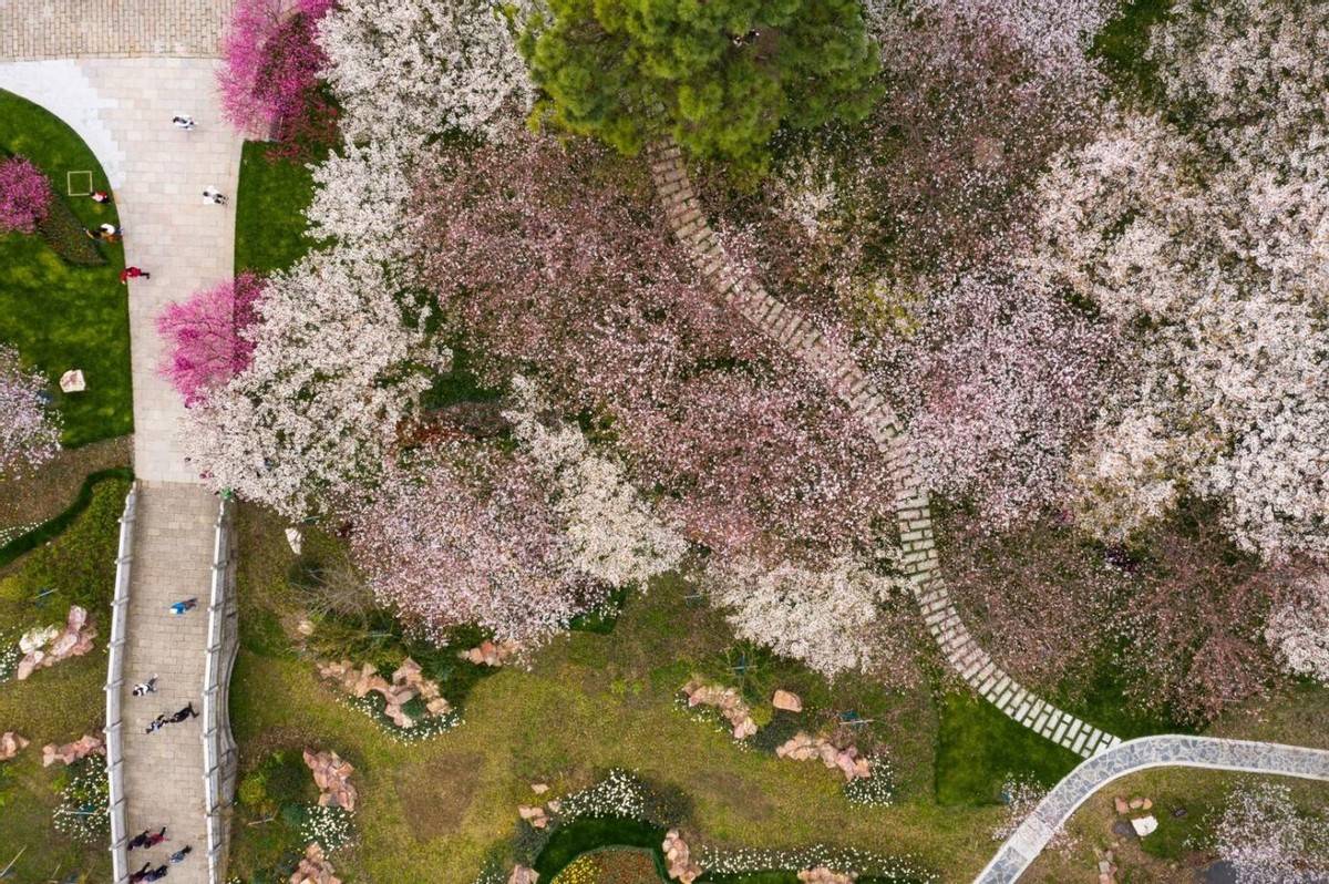 抢手！苏州太湖畔真洋房来袭